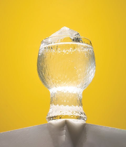 Sake Highball - StrangeLove Beverage Co